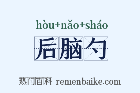后脑勺是什么意思的图片